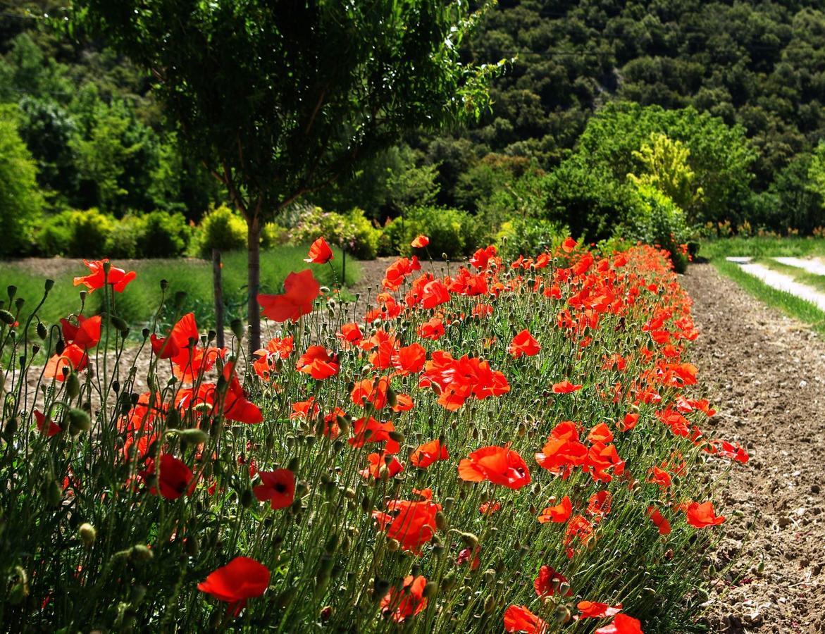 Le Mas De La Fontaine Bed and Breakfast Le Pegue Exteriör bild